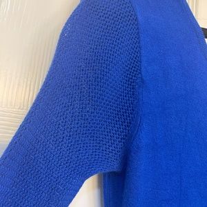 Express Blue Longsleeve Dress